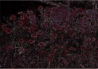 /album/gsw-forroo/xx-77a-1-jpg/